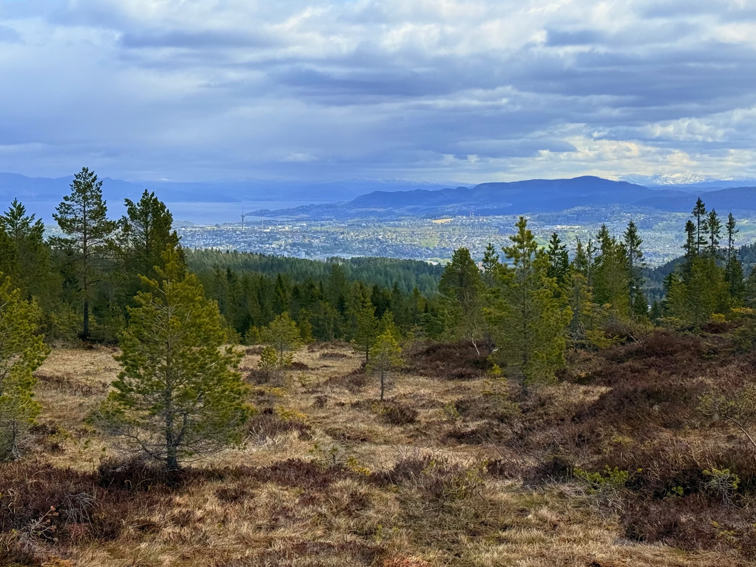 Hiking tour in Trondheim