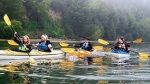 Kayak Rental