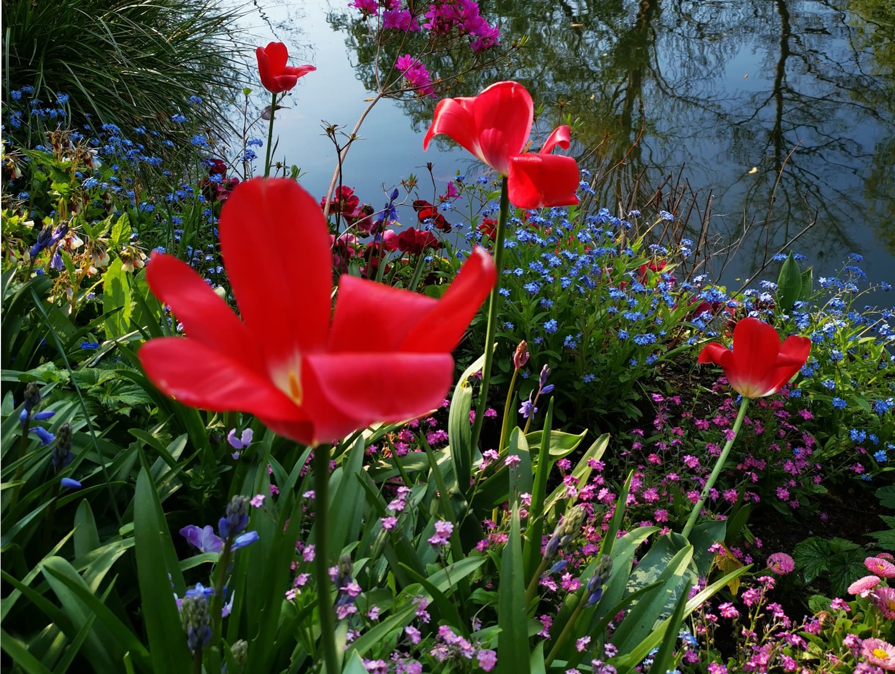 A colorful day with Monet in Giverny