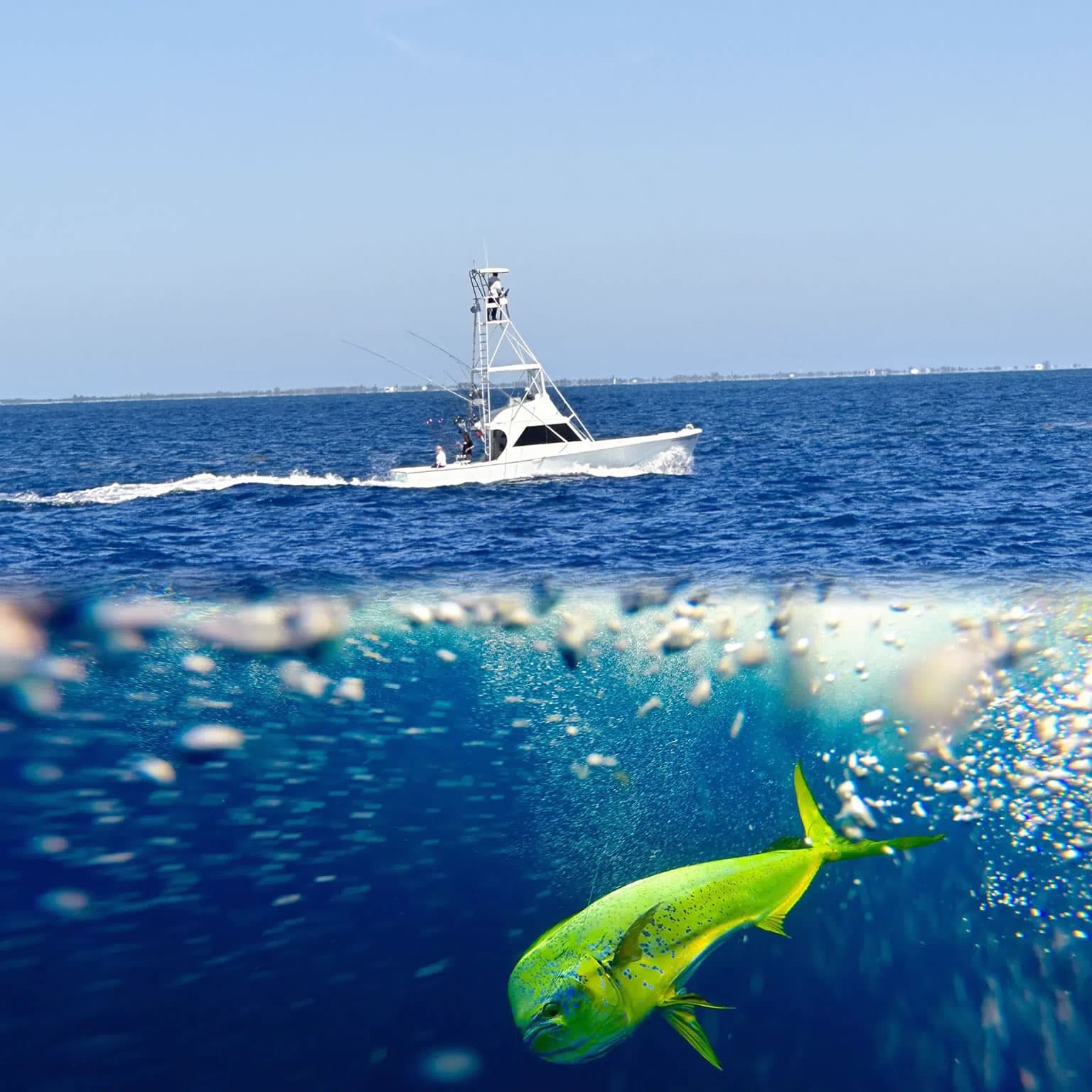Half Day Charter