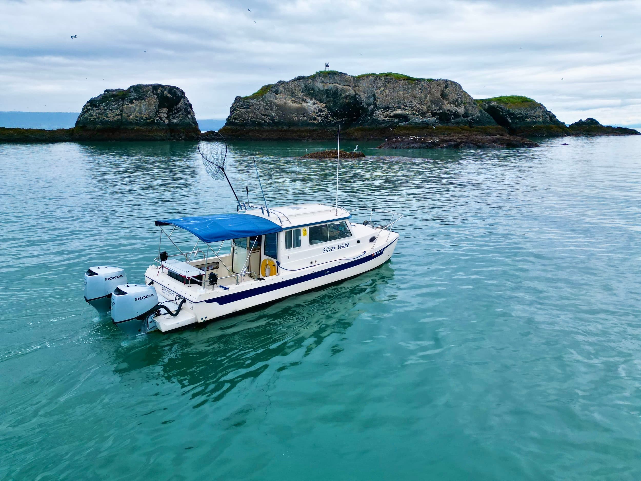 Touring Kachemak Bay Tour