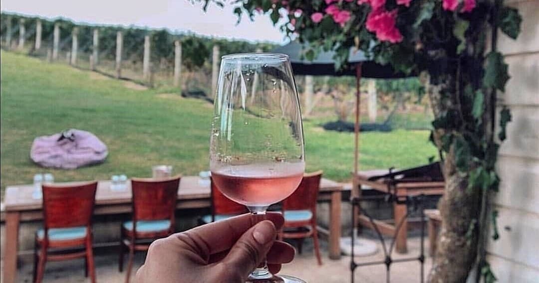 5 or 7 hr Far End Waiheke Wine Tour