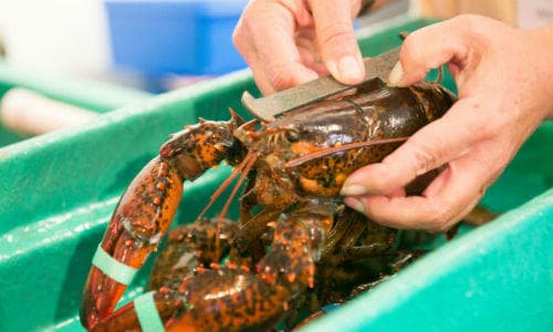 Kennebunkport: A Tasty Lunchtime Walking Tour