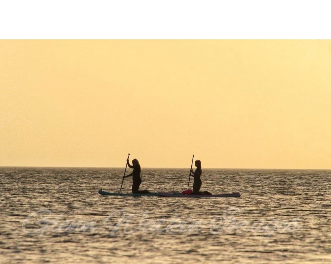 Paddleboard Tours