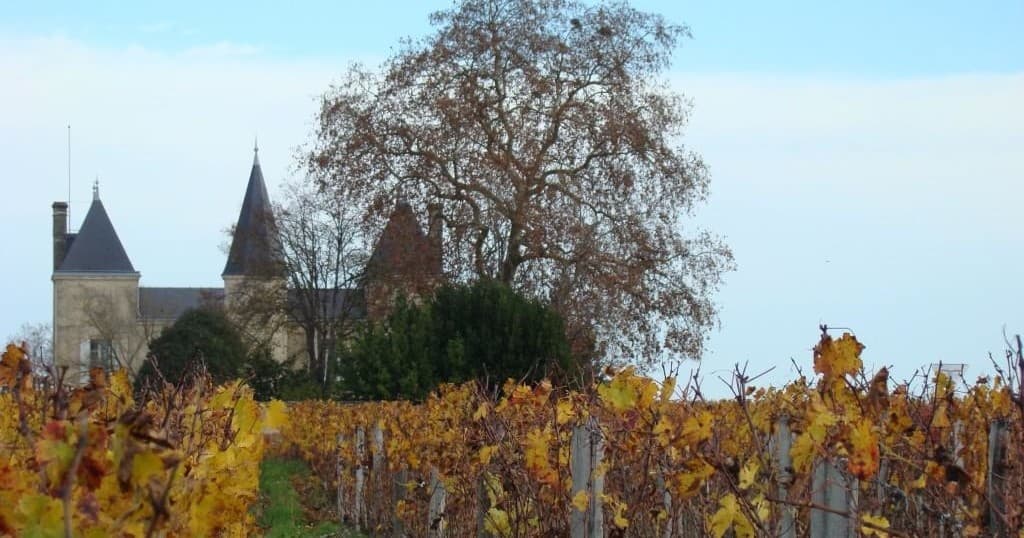 Wine Tasting Tour Bordeaux: Médoc to St Emilion