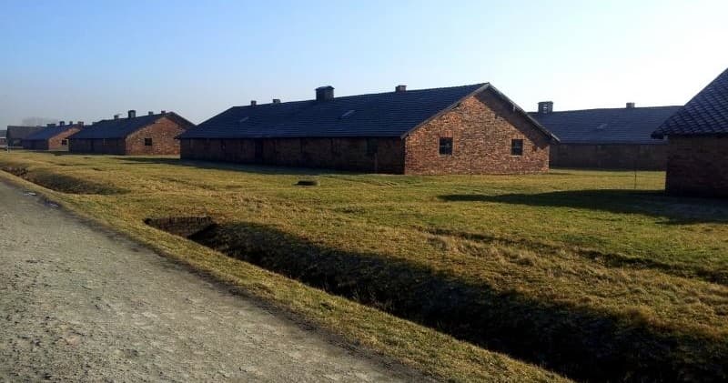 Auschwitz-Birkenau (Guidebook) & Salt Mine in One Day (Integracja)