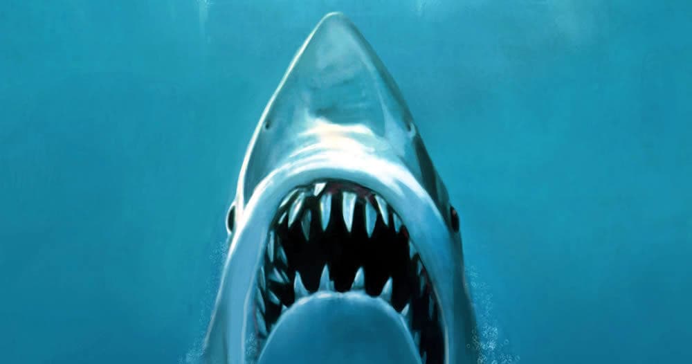 All New Shared Martha's Vineyard 4hr Jaws Tour
