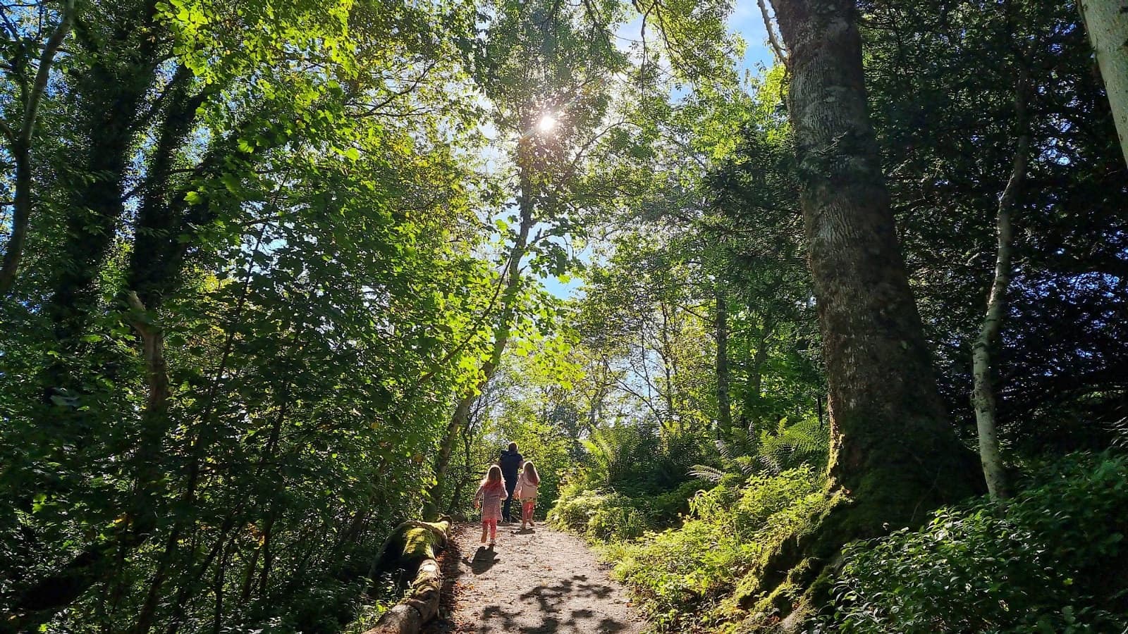 Dunollie Mythical Creatures Trail