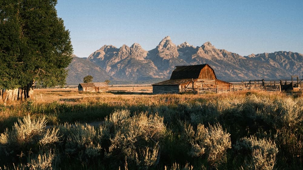 Grand Teton Full Day Private Wildlife Tour & Bike