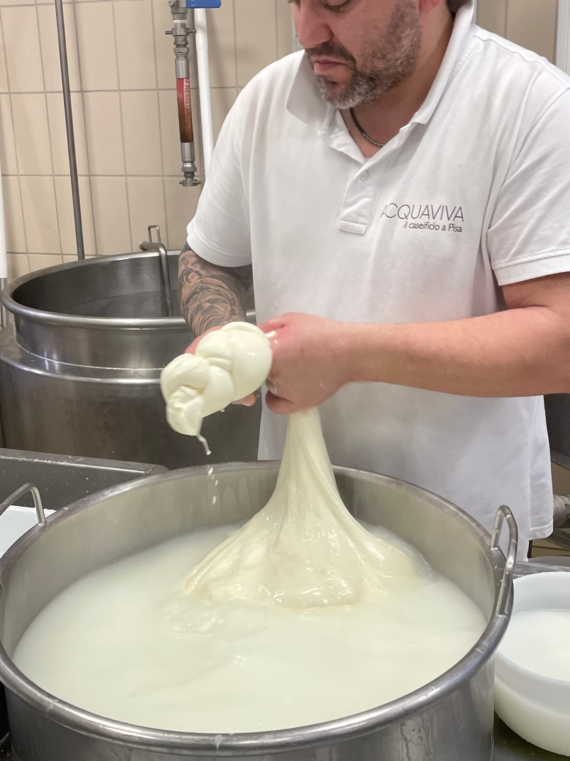 Semi private Cheese making experience