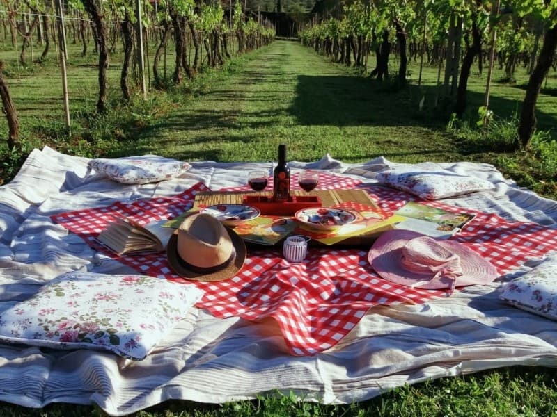Self-guided bike tour in Lucca + Picnic in the vineyards