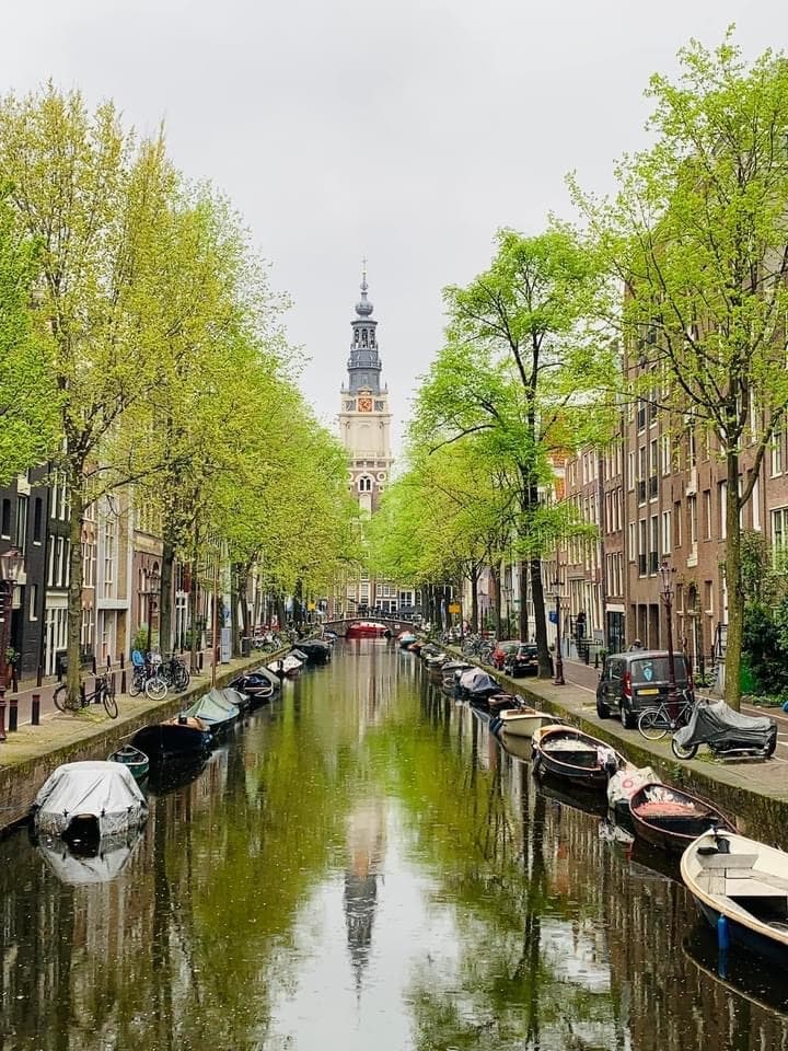 Van Gogh Museum, Rijks Museum & Walking Tour