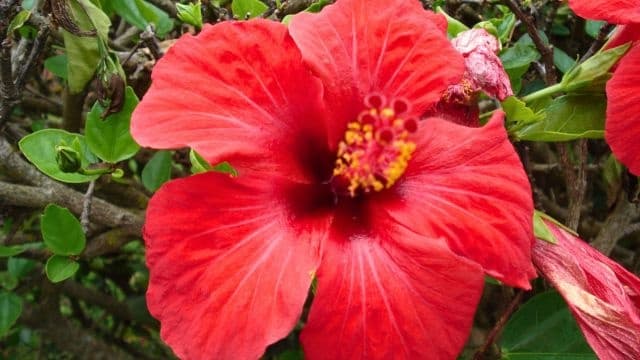 Madeira Tours