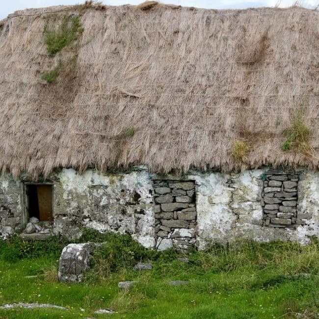 Ancestry Tour