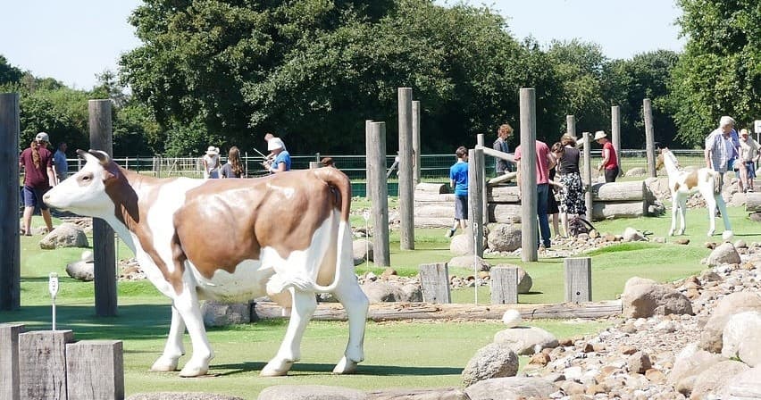 Adventure Minigolf: Gruppenkarten