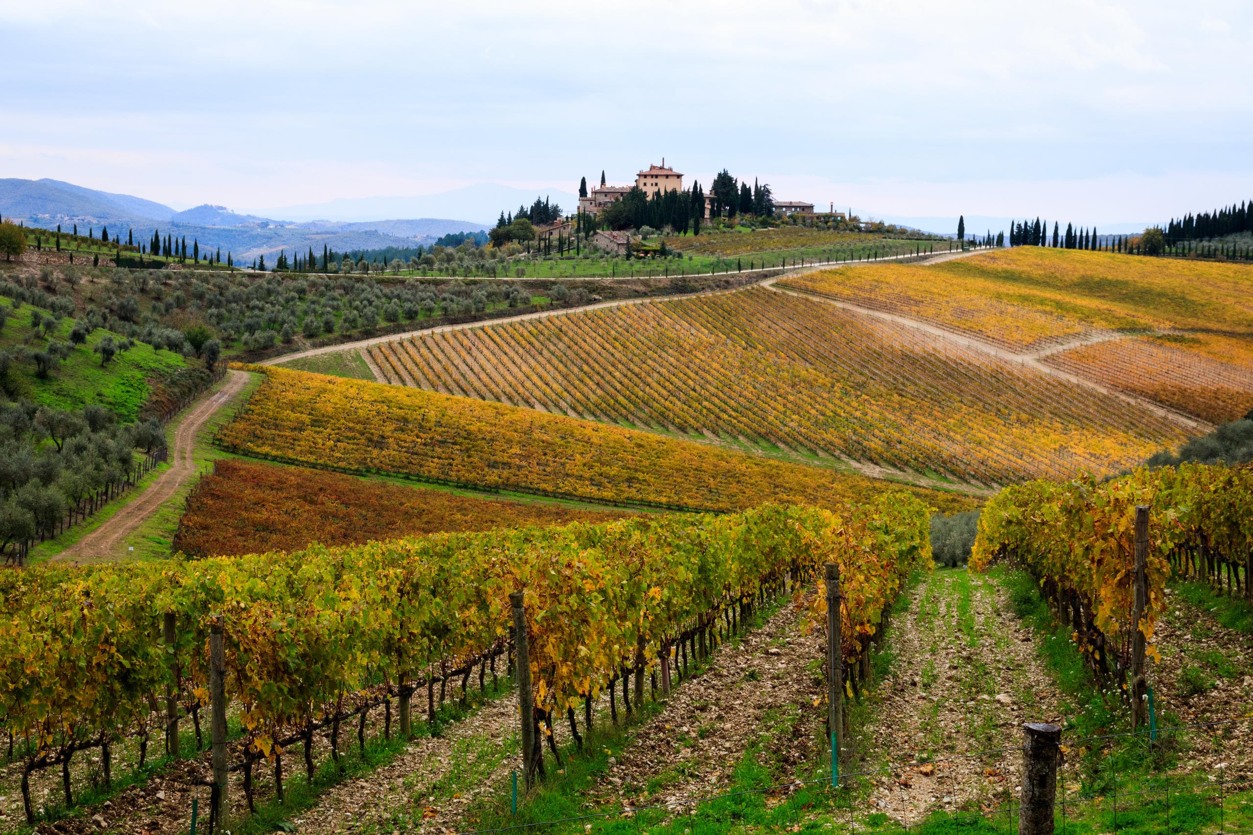 Private Orvieto and Tuscany Wine Tour From Rome