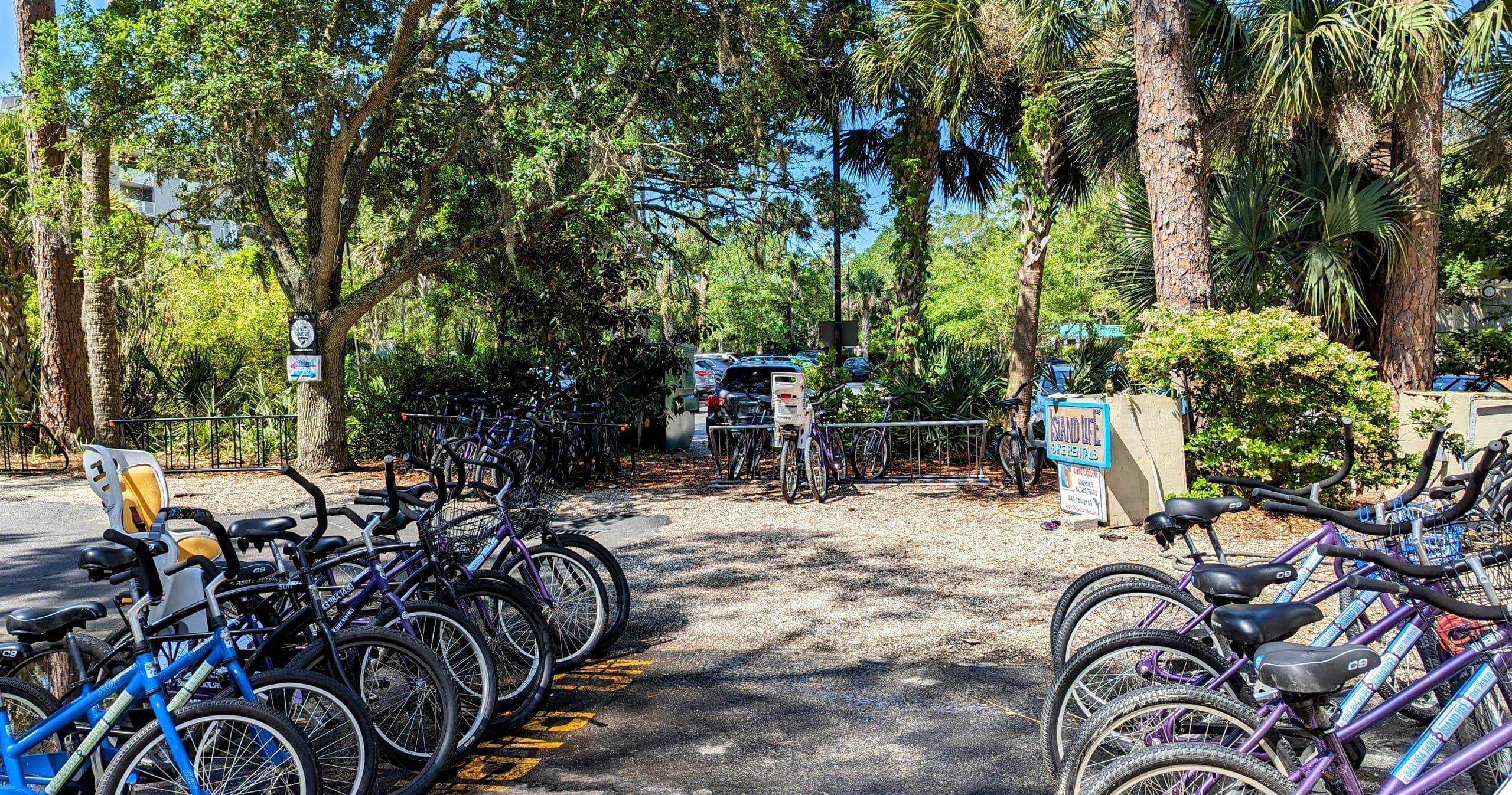 5 Day Rental (Walk Up)