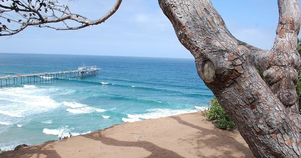 La Jolla Coastal 5K Running Tour