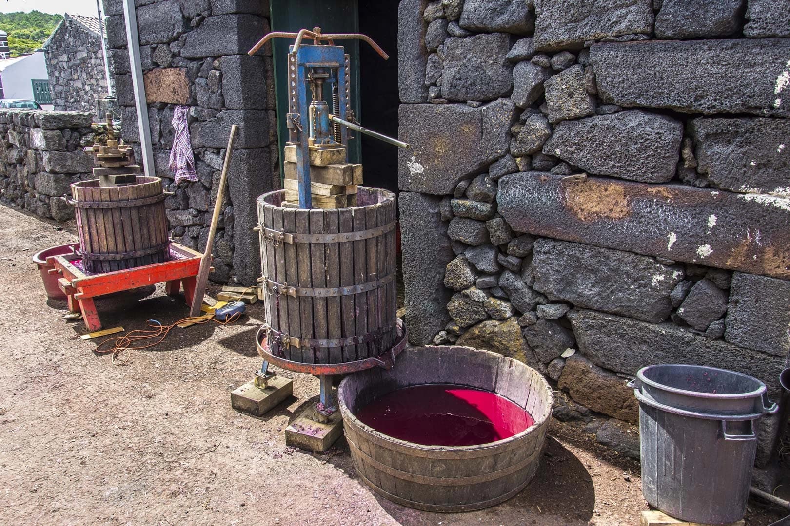Passeio de Carrinha • Cultura do  Vinho • Meio Dia
