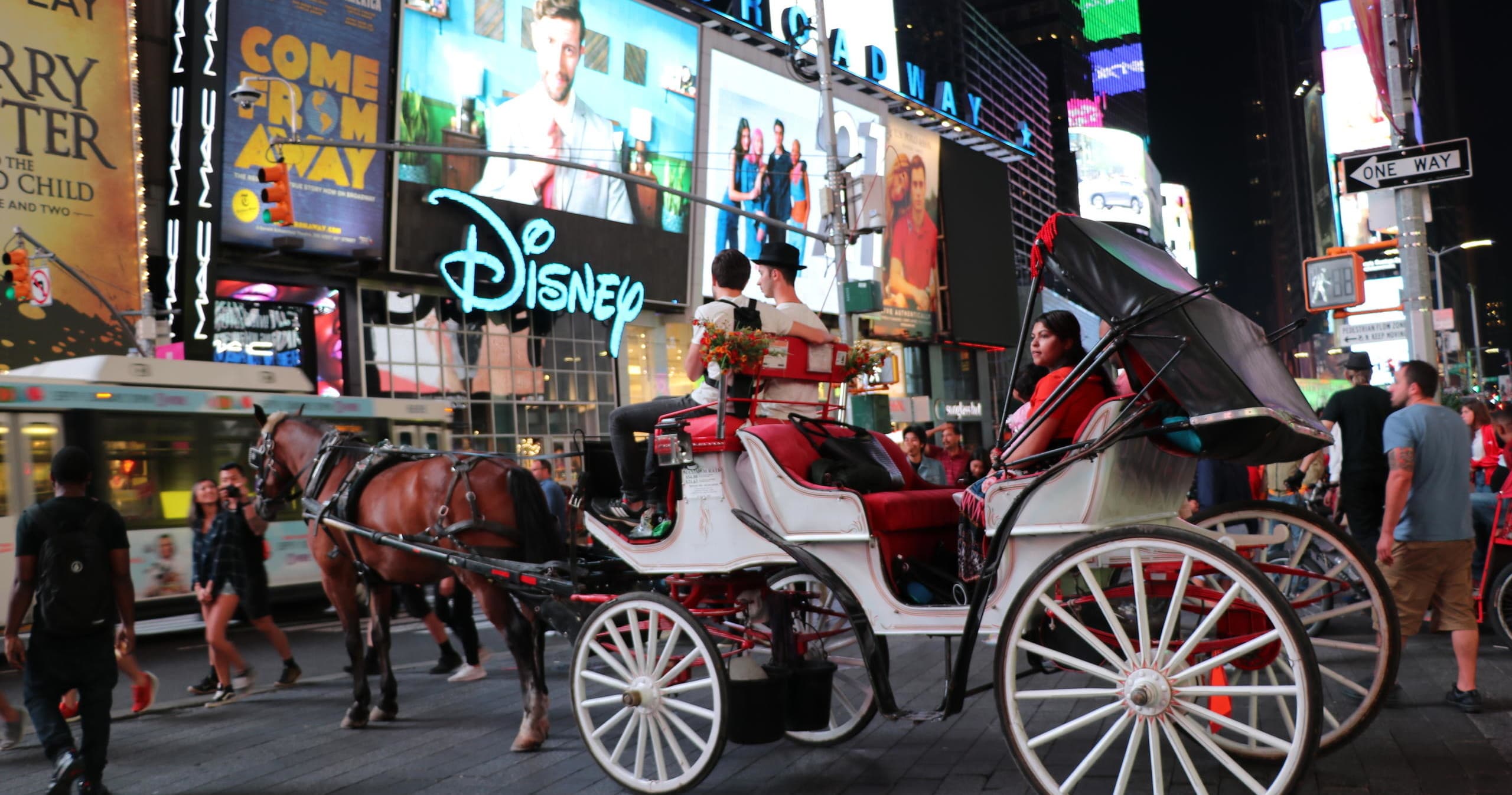 Central Park, Rockefeller & Times Square Horse Carriage Rides