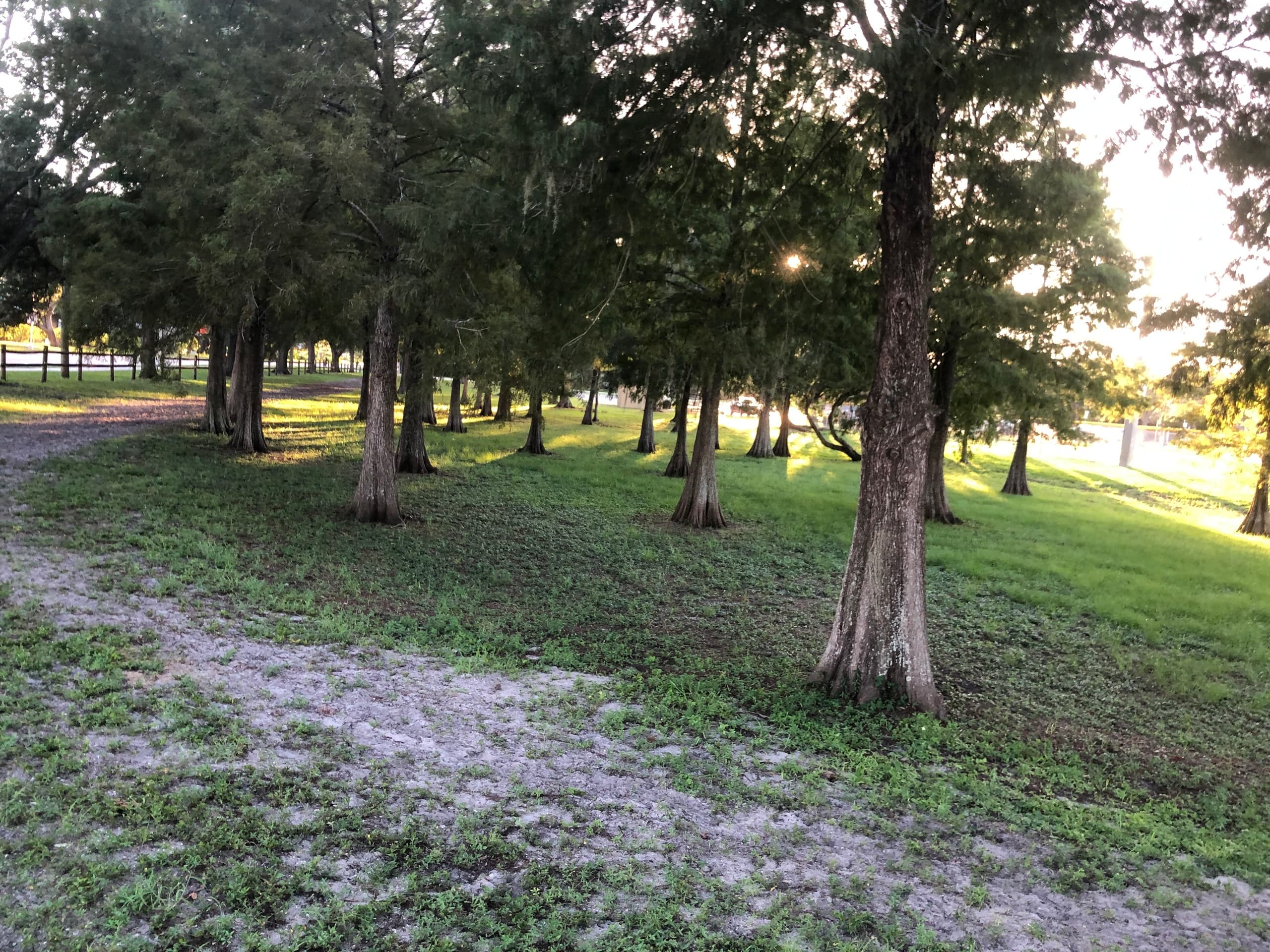 Hour-Long Trail Ride