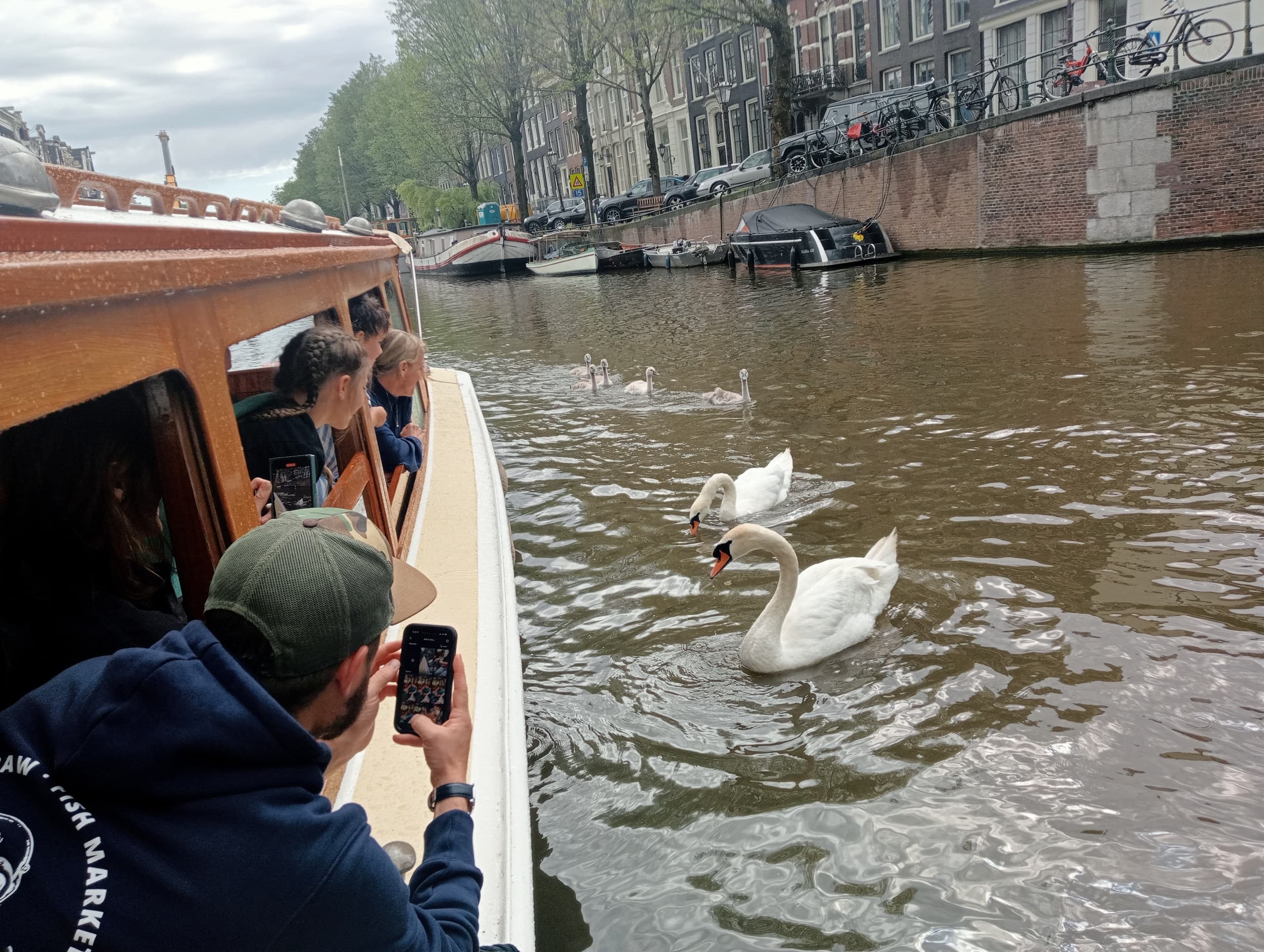 Morning Cruise— Before the hustle and the bustle!