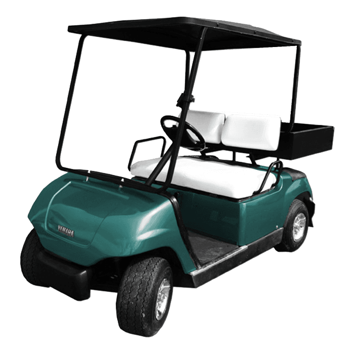 Gas Golf Cart Rentals