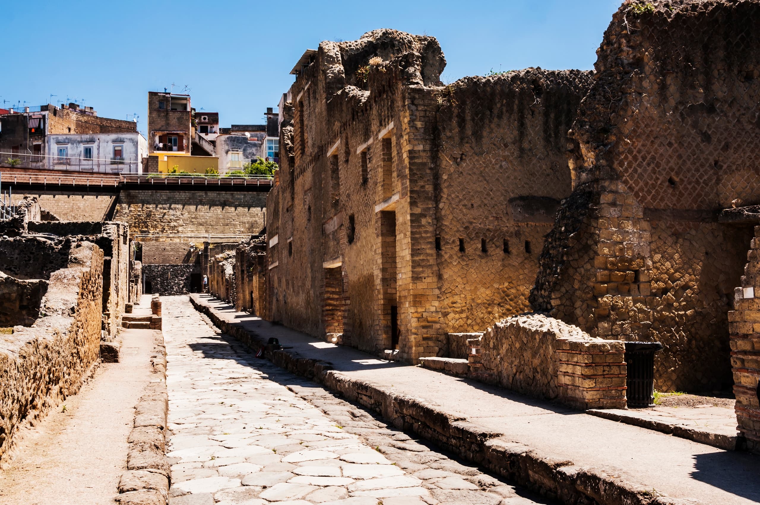 Ingresso Herculaneum con salta la fila e Audio guida digitale