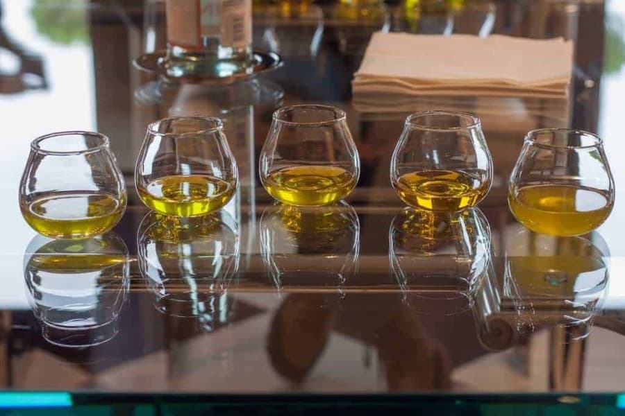 The Olive Oil Tour