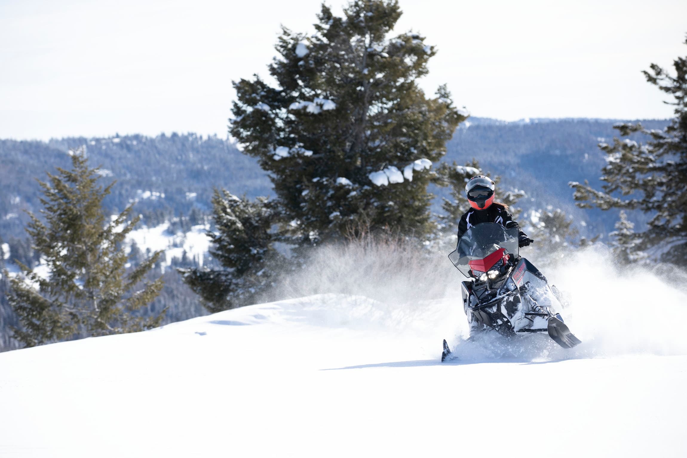Full Day Snowmobile Rental