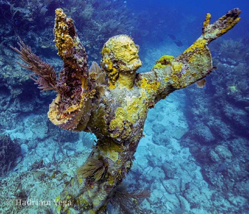 Reef Trip - Scuba Diving/Snorkeling