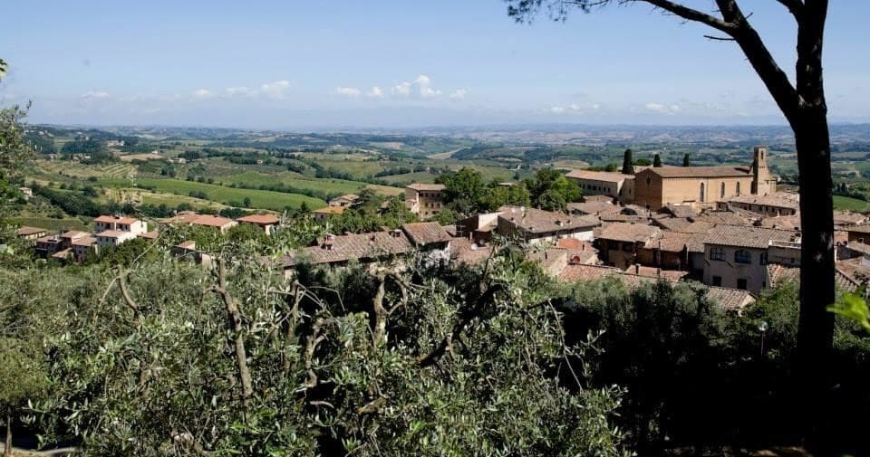 Private VIP - Wonderful Wine Tour In Chianti With Stop In Pisa