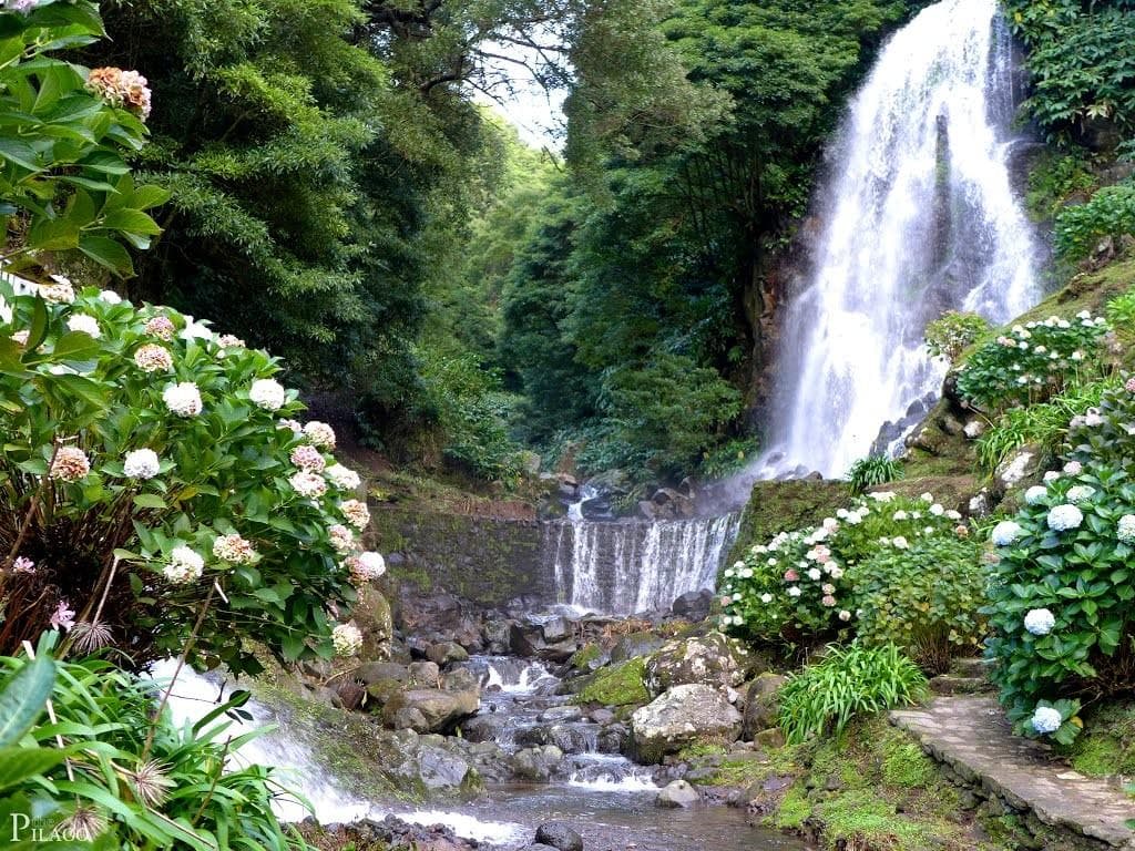 Full-Day Jeep Tour: Northeast Route