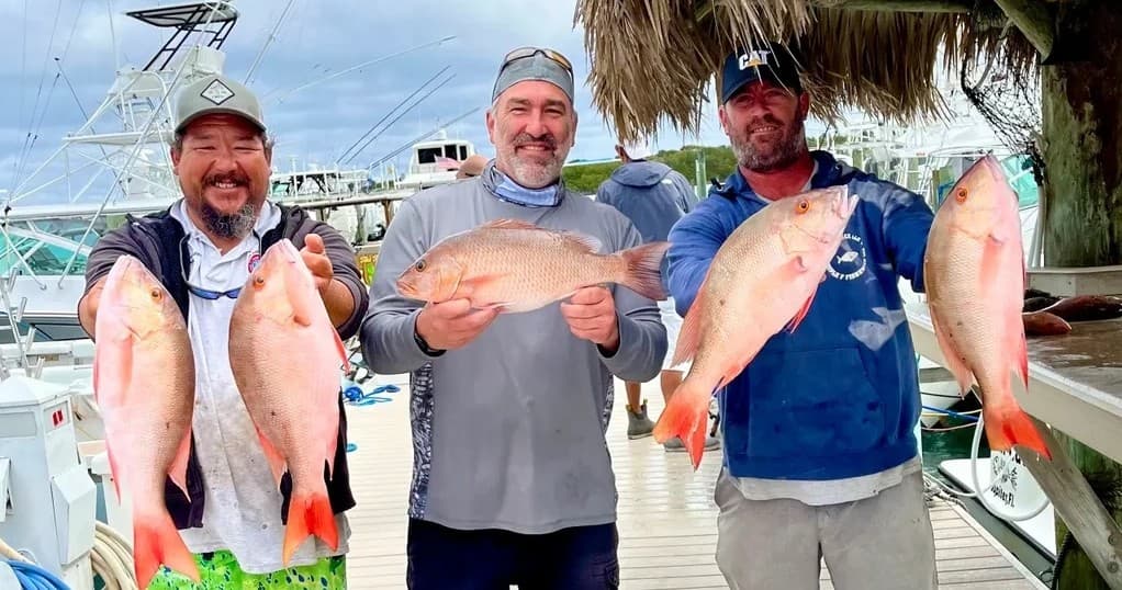 Afternoon Fishing Charter