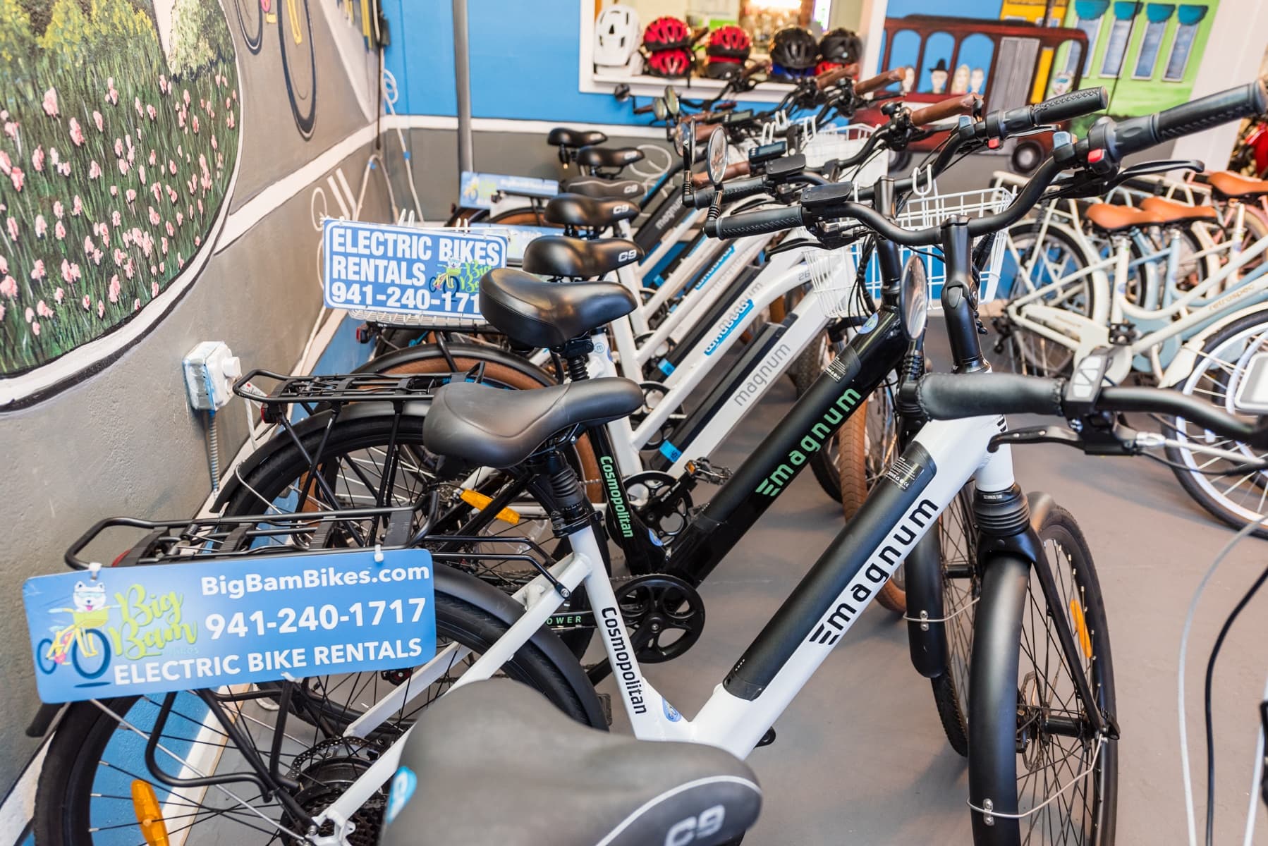 Electric Bike Rentals