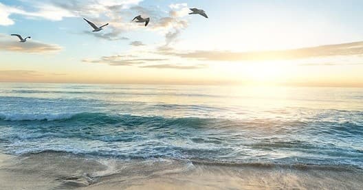 Half Day Private Yacht Charter
