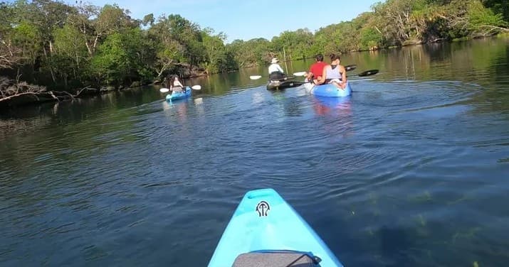 Chassahowizka Exploration Kayak Tour