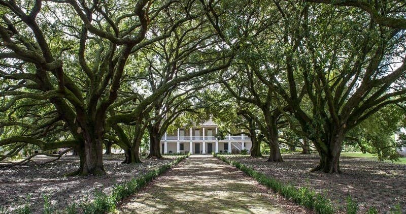 Self - Guided Whitney Museum Plantation