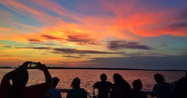 Sunset Dolphin & Wildlife Cruise