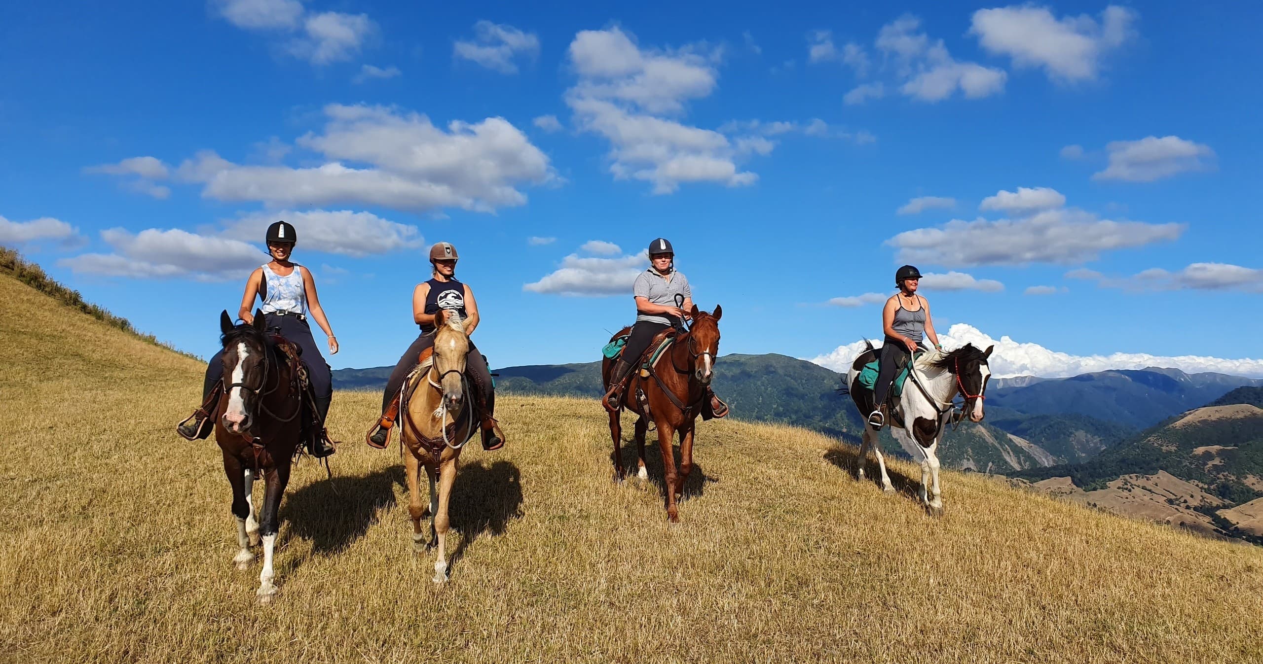 High Country Enchantment