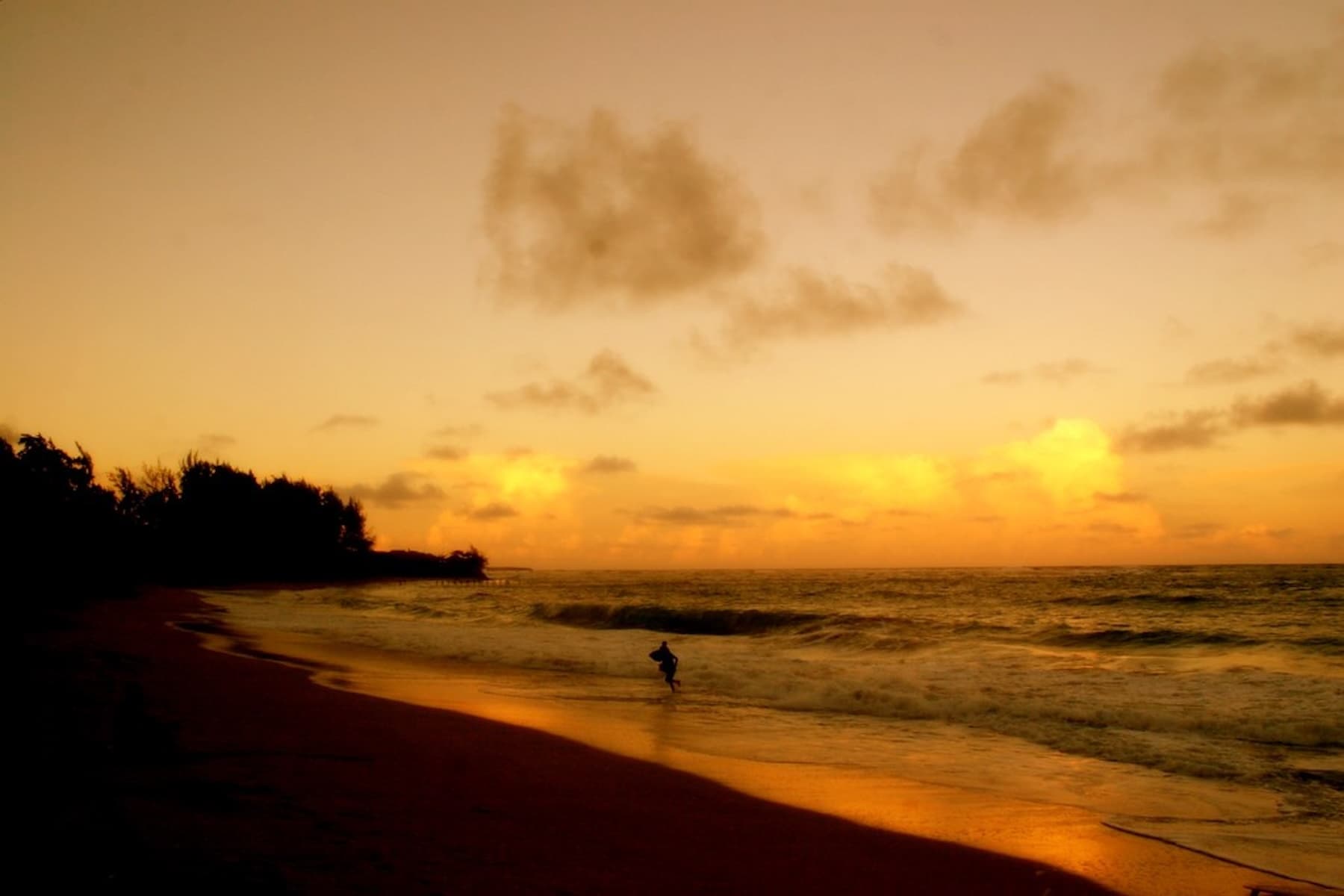 Luxury Sunset Shore Luau