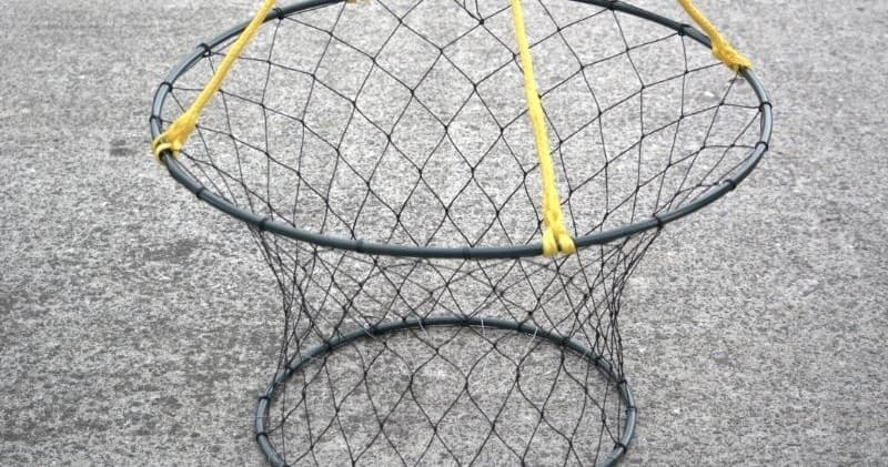 Crab Rings