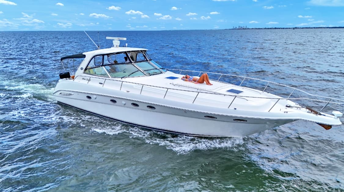 51' SEARAY