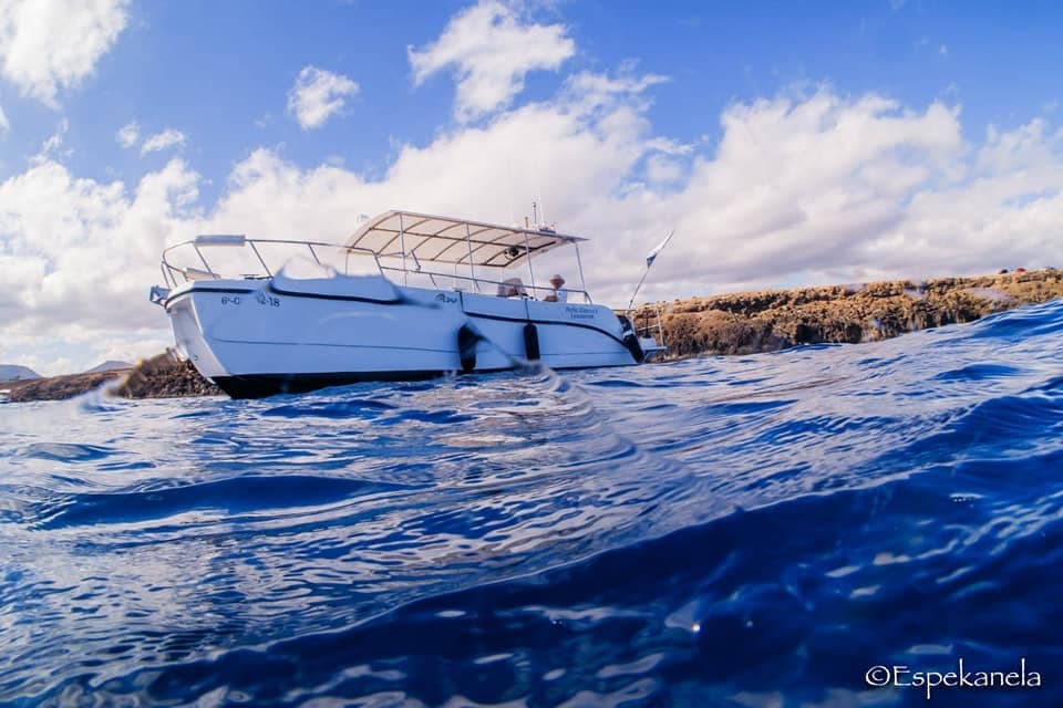 Private Afternoon Sea Safari