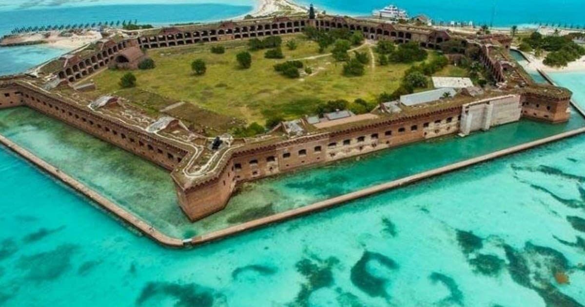 Dry Tortugas Family, Nauti Tuna
