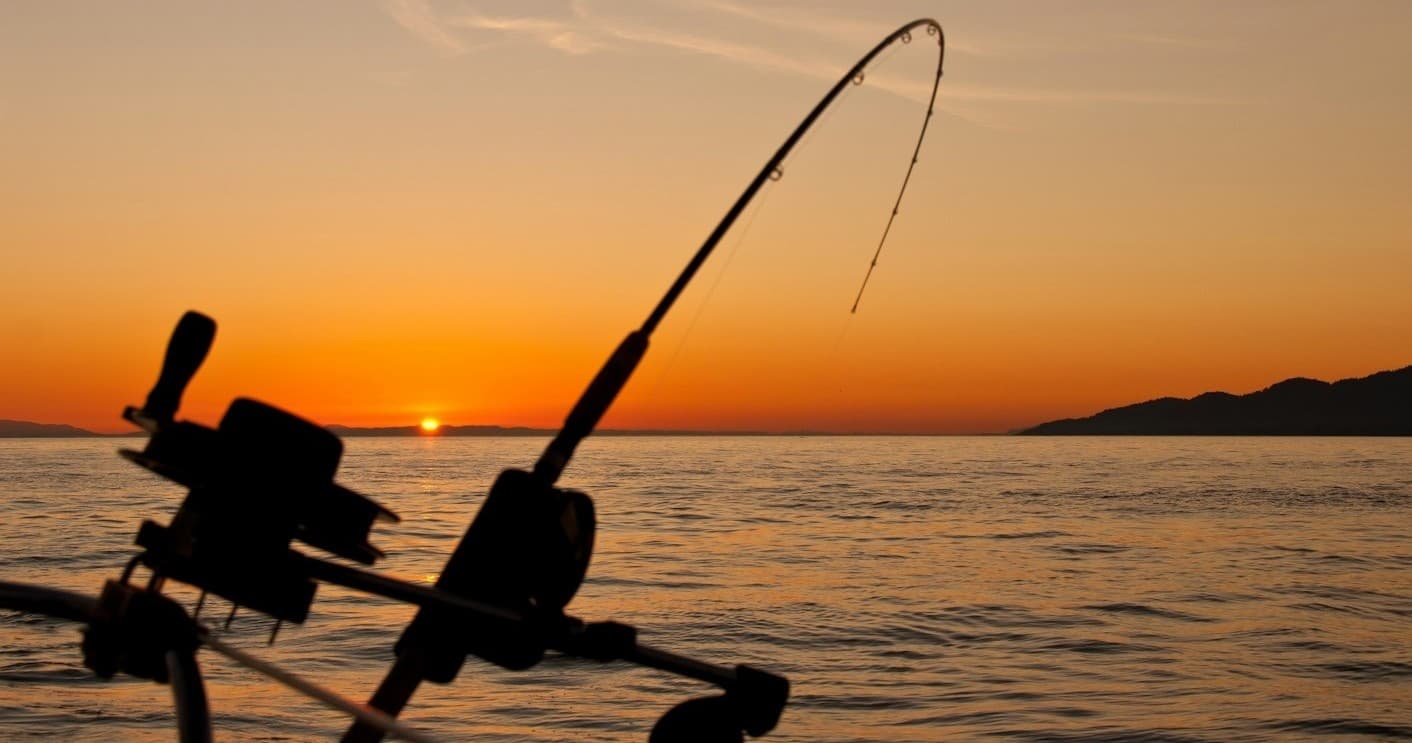 Full Day Fishing / Angling Trip