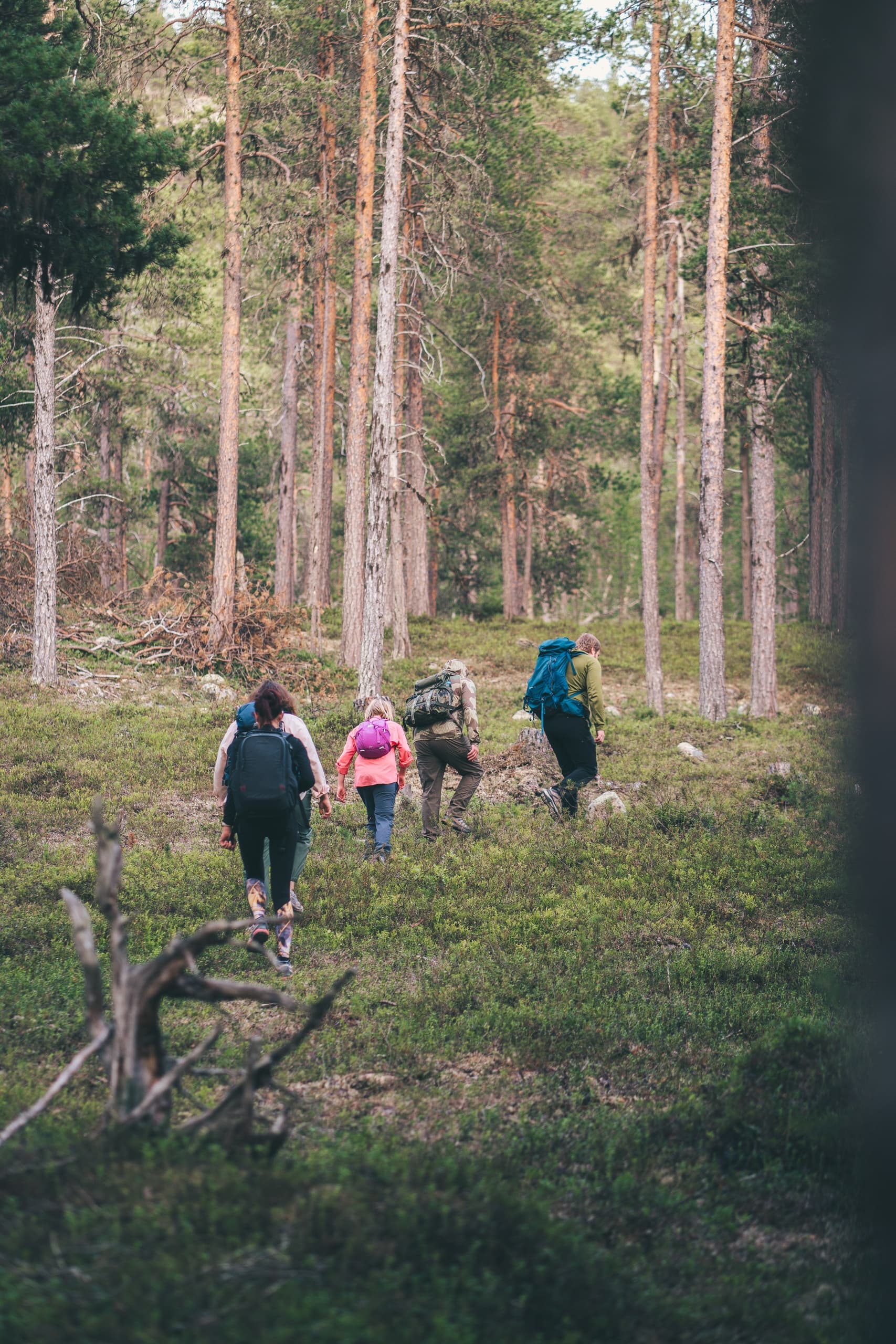 Inari Hiking Day