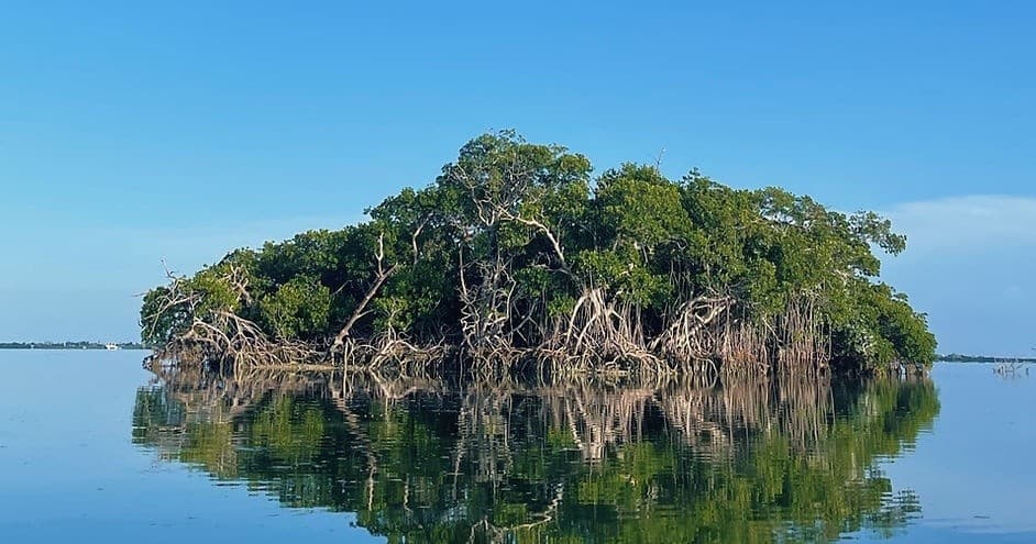 Nature Tour