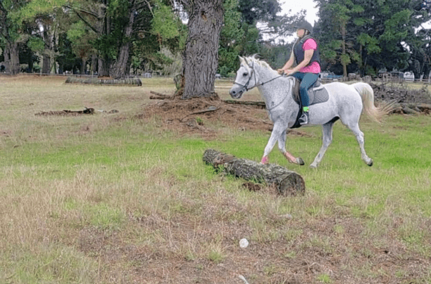 Semi-Private Lesson - 2 Riders