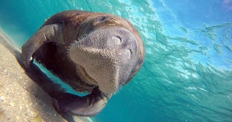 Famous Breakers Snorkel Trip